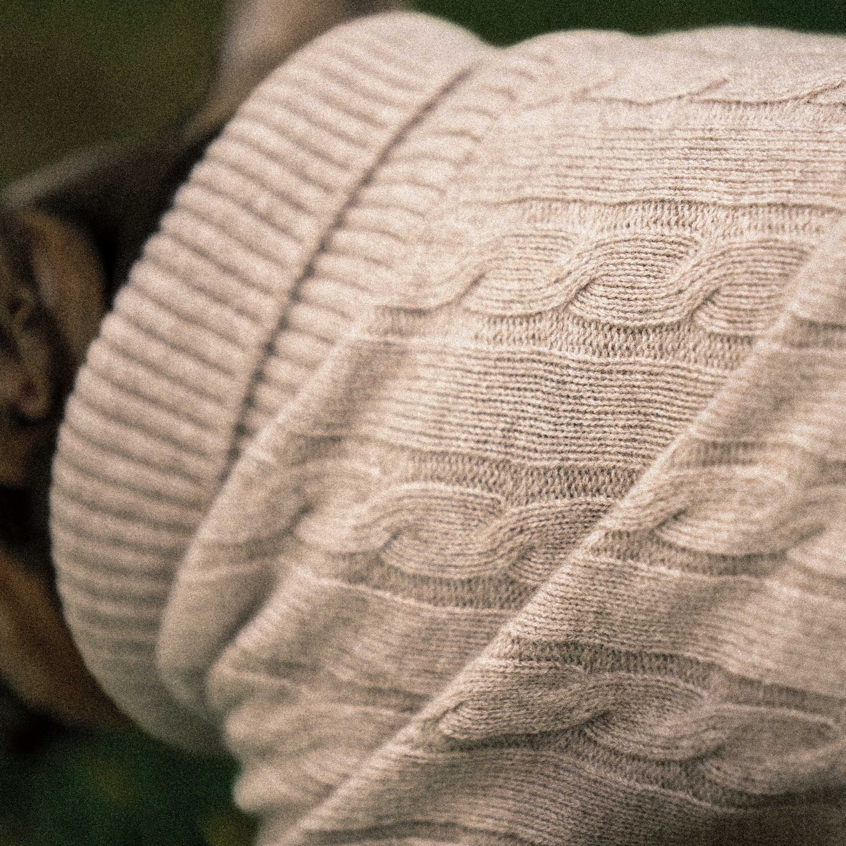 Hundepullover "DAISY"