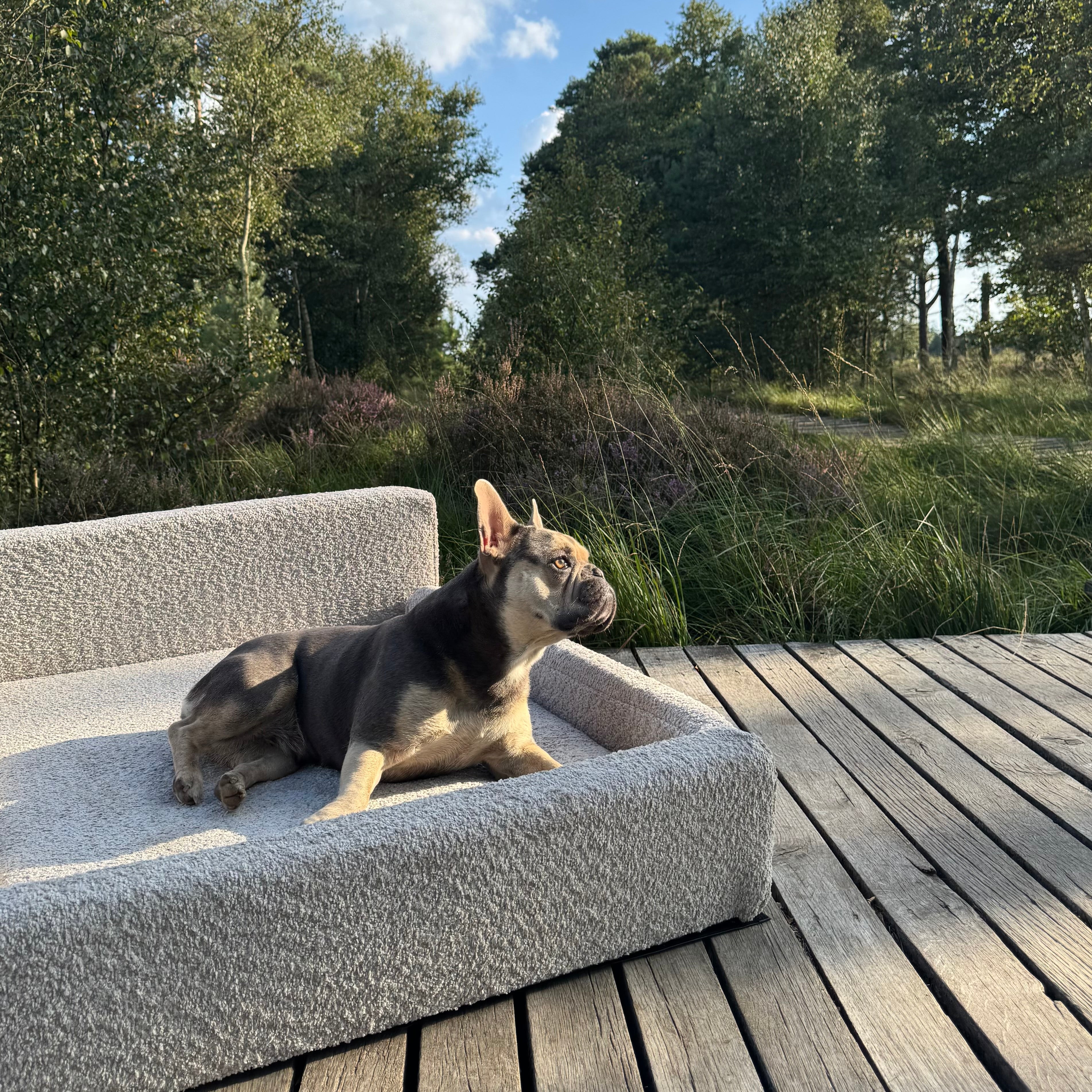 Windsor Lounge Hundebett