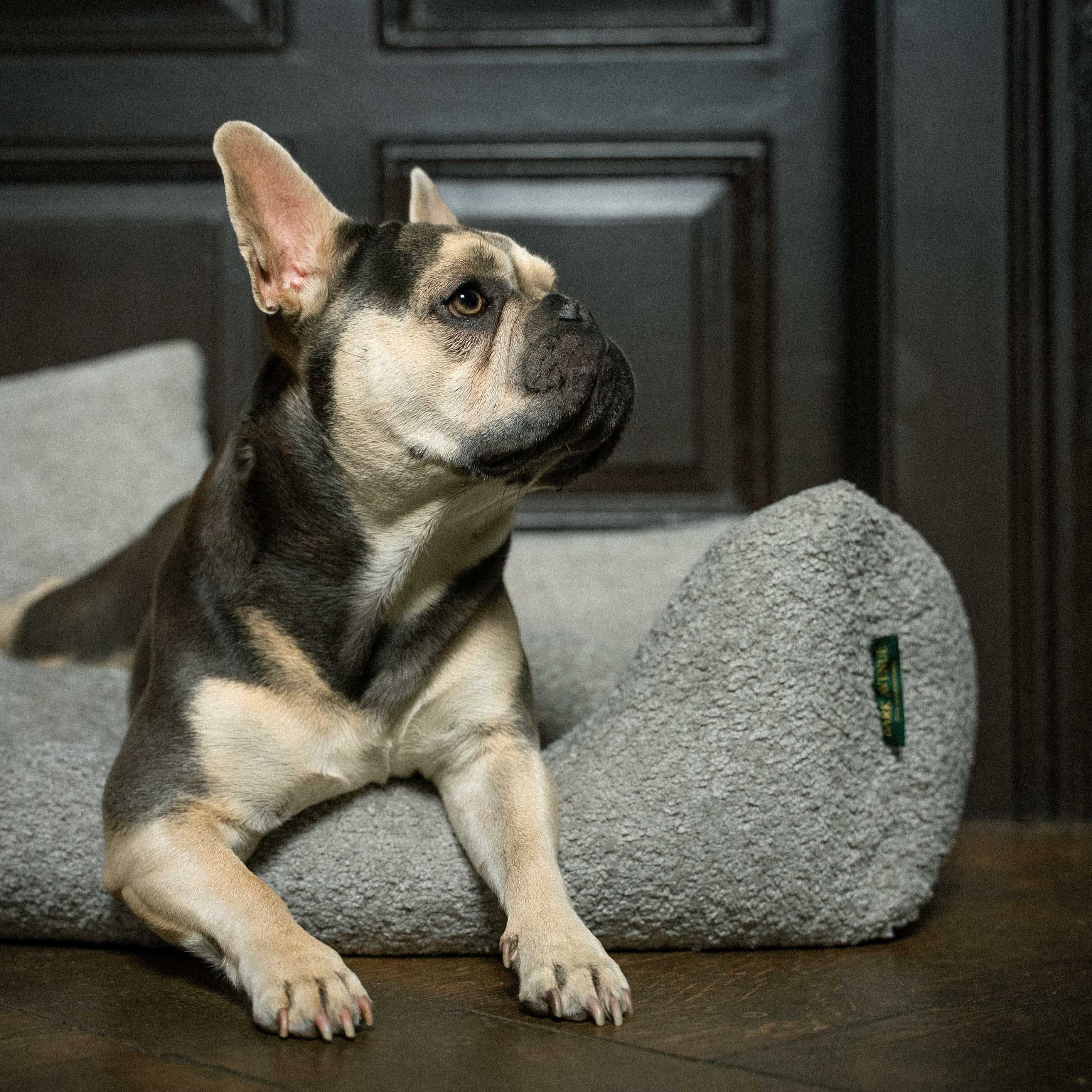Burlington Lounge Hundesofa